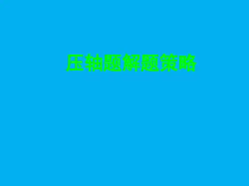 2020年中考数学冲刺复习讲座 第13讲 中考数学压轴题精讲