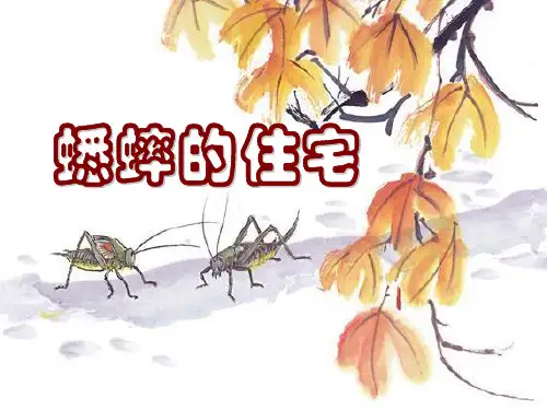 蟋蟀的住宅资料讲解