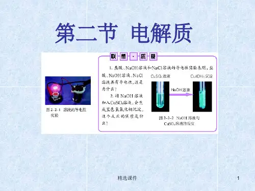 电解质ppt课件ppt课件