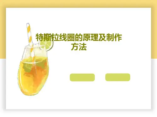 特斯拉线圈的原理及制作方法59页PPT