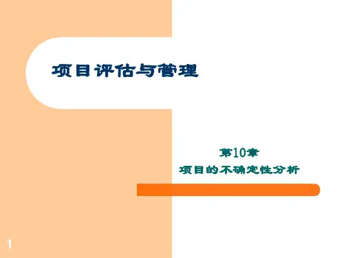 第10章 项目的不确定性分析
