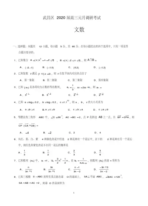 湖北武汉市武昌区2020届高三元月调研考试数学文