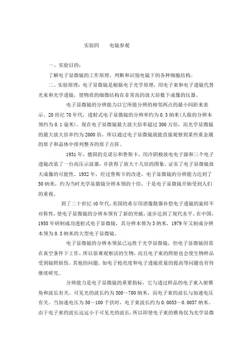 电镜参观实验原理及步骤