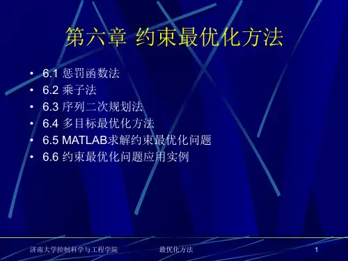 约束最优化