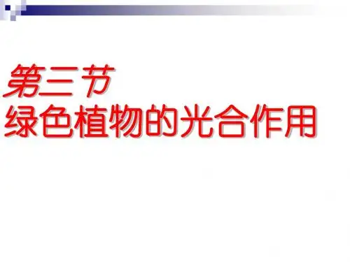 3.3.11 绿色植物的光合作用 课件 济南版七年级上
