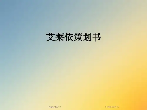 艾莱依策划书