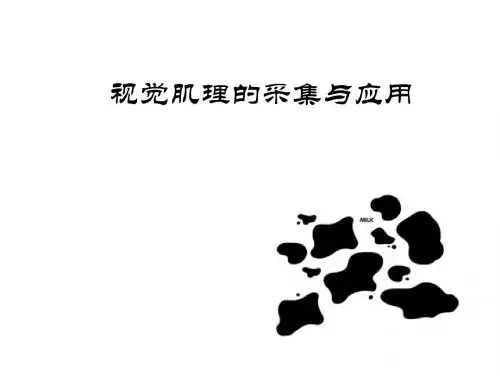 视觉肌理的采集与应用