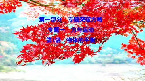 高考物理二轮总复习 第一部分 专题突破方略 专题一 力与运动 1.物体的平衡课件