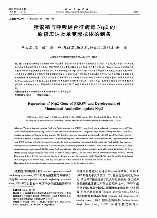 猪繁殖与呼吸综合征病毒Nsp2的原核表达及单克隆抗体的制备