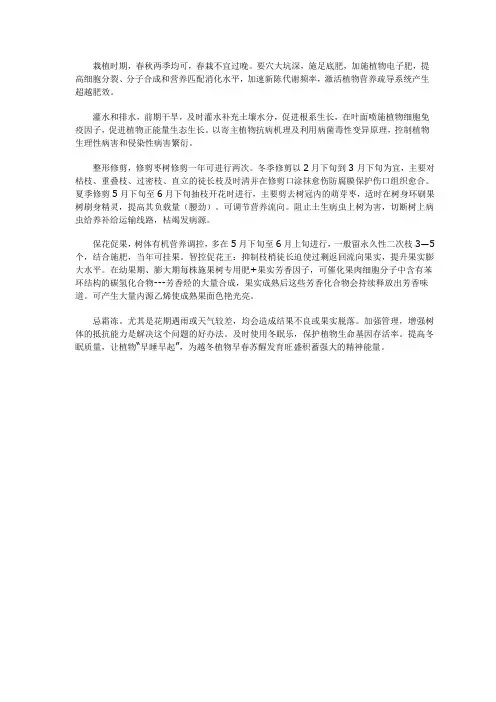 培育优质枣树坐果率最佳方案