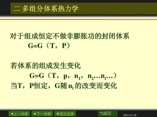第二章 自由能、化学势和溶液 2