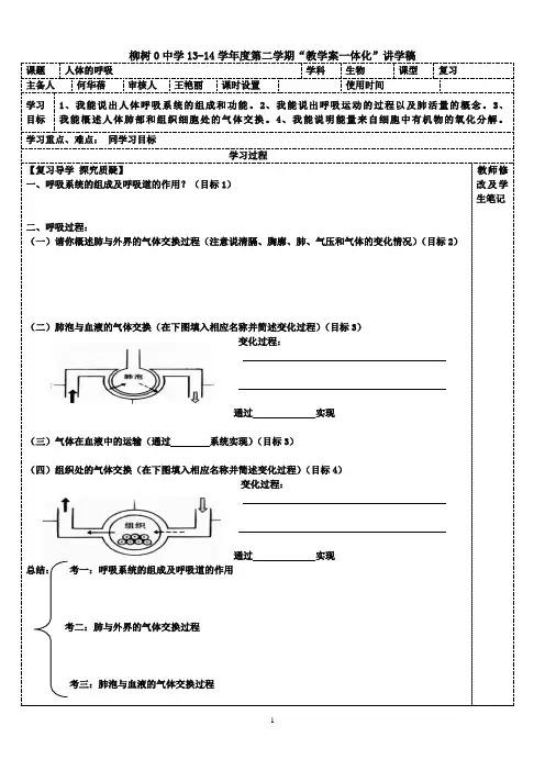 人体的呼吸