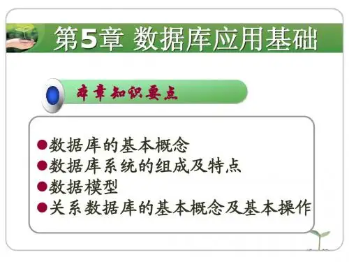 第5章数据库应用基础讲义(3学时)