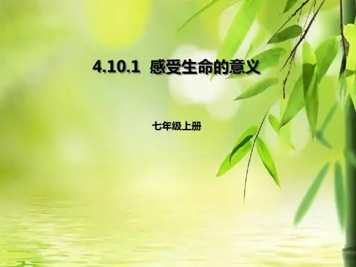 人教版《道德与法治》七年级上册：10.1 感受生命的意义 课件 (共17张PPT)