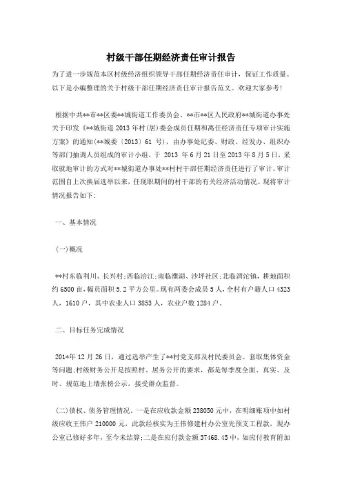 村级干部任期经济责任审计报告