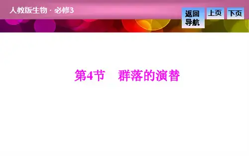 新人教版必修三高中生物第四章种群和群落第4节群落的演替课件