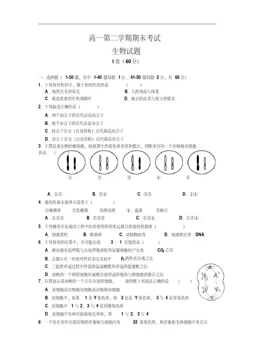 河北省正定中学2014-2015学年高一下学期期末考试生物试卷(Word版含答案