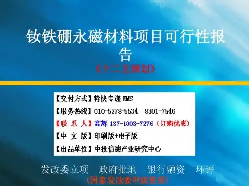 钕铁硼永磁材料项目可行性研究报告