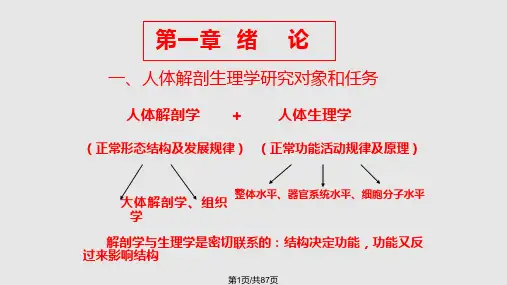 人体解剖生理PPT课件