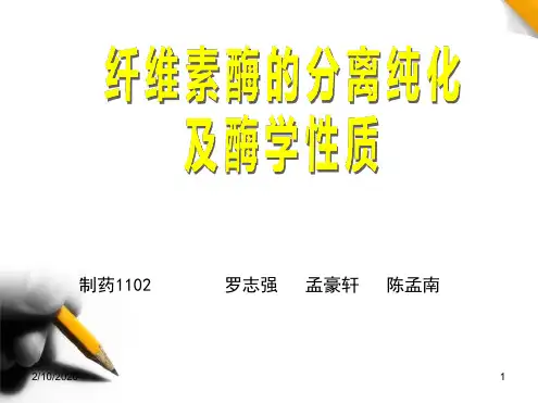 纤维素酶的分离纯化