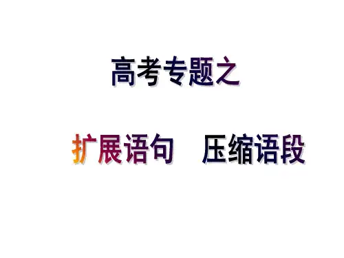 扩展语句压缩语段2014ppt课件