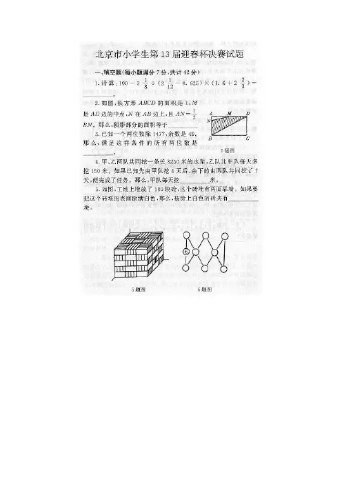 第13届北京市“迎春杯”决赛试题