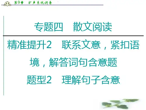新课标高考语文二轮课件:专题4 精准提升2 题型2 理解句子含意