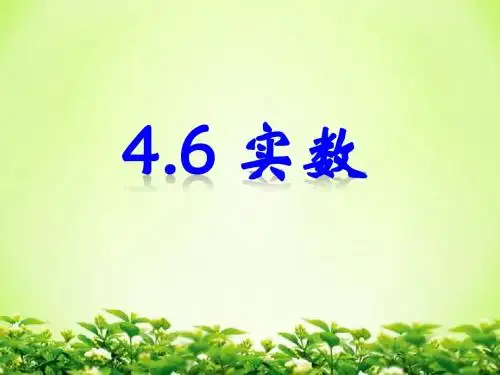 4.6 实数 (1)