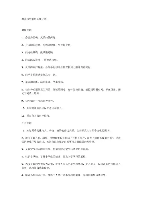 幼儿园学前班工作计划