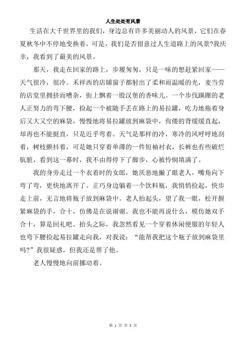初中作文初中满分作文范文 人生处处有风景