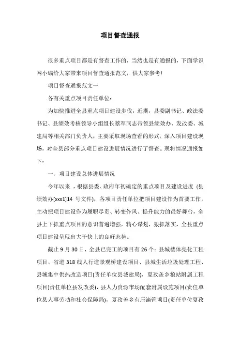 项目督查通报