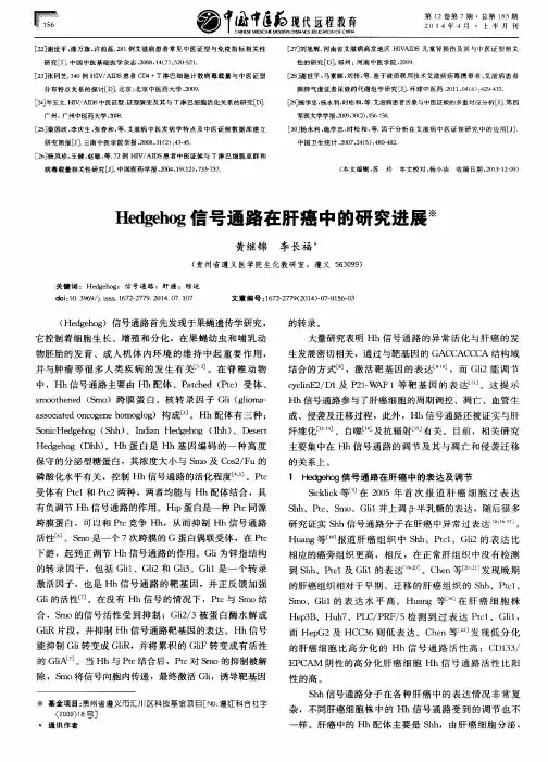 Hedgehog信号通路在肝癌中的研究进展