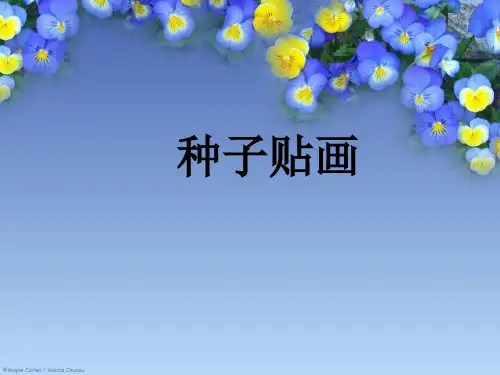 小学综合实践活动课《种子贴画》优质课教学课件