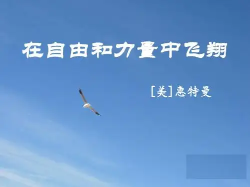《在自由和力量中飞翔》课件1