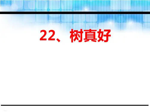 《树真好》PPT课件(完美版)