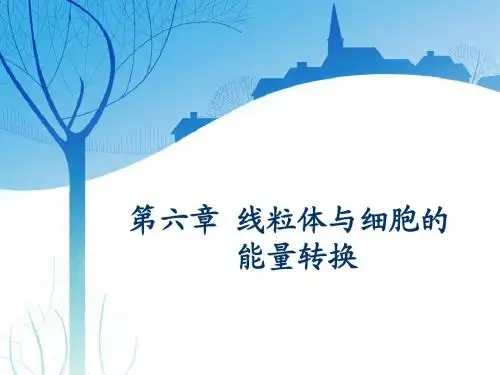 第六章 线粒体与能量转换