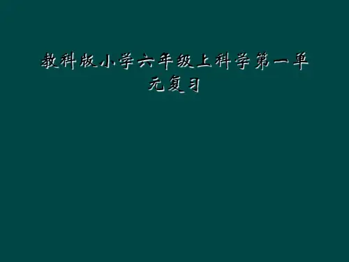 教科版小学六年级上科学第一单元复习