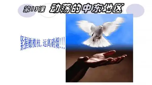 讲课动荡的中东地区ppt