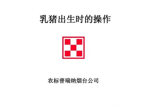 乳猪出生时的操作