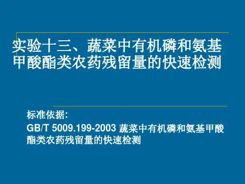 实验十三、蔬菜中有机磷和氨基甲酸酯类农药残留量的快速检测