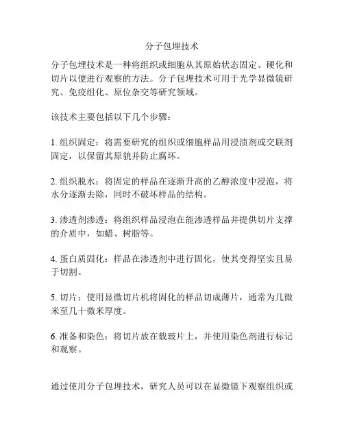 分子包埋技术