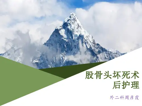 股骨头坏死护理