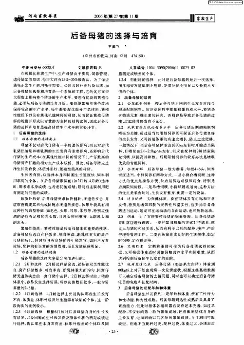 后备母猪的选择与培育