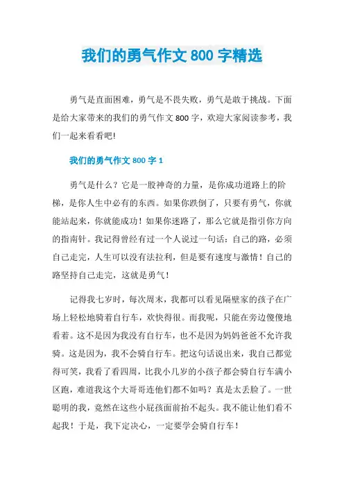 我们的勇气作文800字精选