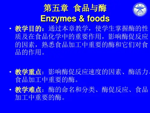 5 食品与酶