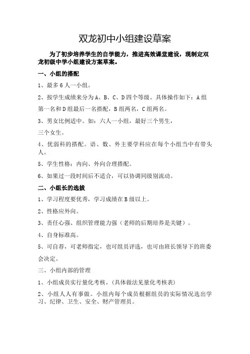 双龙初中小组建设草案