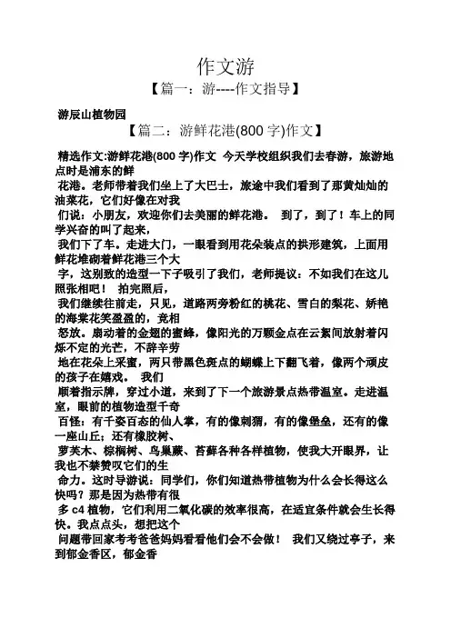 作文范文之作文游