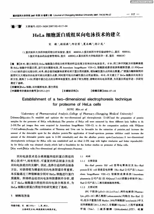 HeLa细胞蛋白质组双向电泳技术的建立