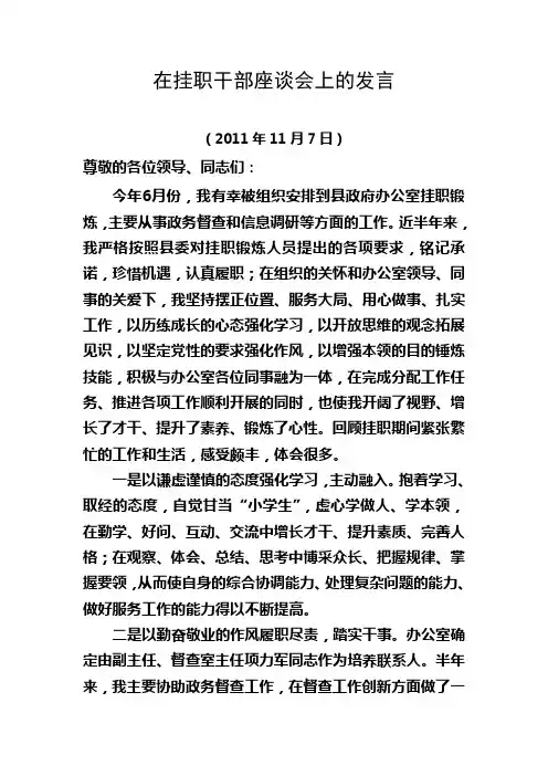 挂职干部总结座谈会发言