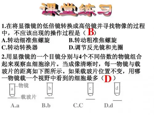 生物：必修一复习课件(2)(新人教版必修1)